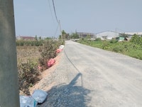 Bán thửa đất thổ vườn 31,24m×32,33m đường vườn thơm HBC Bán thửa đất thổ vườn 31,24m×32,33m đường vườn thơm HBC
