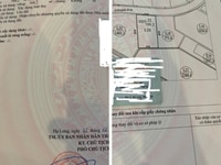 CC cần bán 2 lô đất biệt thự đảo Tuần Châu Hạ Long giá tốt S 761m2 CC cần bán 2 lô đất biệt thự đảo Tuần Châu Hạ Long giá tốt S 761m2