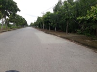 Bán gấp đất view sông mát mẻ tại Phú Đông 1121m2 Giá 1,6tr/m2 Bán gấp đất view sông mát mẻ tại Phú Đông 1121m2 Giá 1,6tr/m2