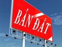Bán 4 sào đất thổ cư, tại xã Yên Bình, Thạch Thất, sổ đỏ, chính chủ