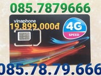 Sim tam hoa 666.số tiến .thổ địa thần tài Sim tam hoa 666.số tiến .thổ địa thần tài