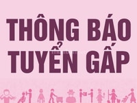 Cần tuyển gấp 20 NV nam, 18-30 tuổi, lương cơ bản 6 triệu+ thưởng+ ăn Cần tuyển gấp 20 NV nam, 18-30 tuổi, lương cơ bản 6 triệu+ thưởng+ ăn