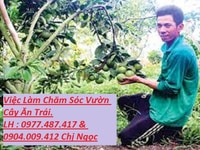 Việc Làm Nam Nữ Chăm Sóc Vườn Cây Ăn Trái Chăn Nuôi Nông Trường Việc Làm Nam Nữ Chăm Sóc Vườn Cây Ăn Trái Chăn Nuôi Nông Trường