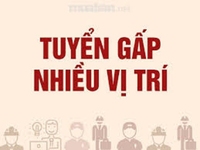 Xưởng May Tuyển: thợ phụ, thợ may thời trang, thợ ủi, vệ tinh gia công