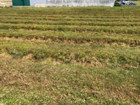 Đất 2 mặt tiền đối lưng tỉnh lộ 10 giá rẻ chỉ 4,3tr Đất 2 mặt tiền đối lưng tỉnh lộ 10 giá rẻ chỉ 4,3tr