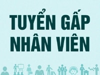 Tuyển quản đốc, quản lý, trưởng phòng, kế toán, thủ kho, kinh doanh