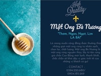 Mật ong rừng già Cao Bằng nguyên chất, chọn lọc 100% Mật ong rừng già Cao Bằng nguyên chất, chọn lọc 100%