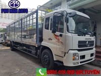 Bán xe tải dongfeng B180 thùng 9m5 | Xe tải dongfeng nhập khẩu. Bán xe tải dongfeng B180 thùng 9m5 | Xe tải dongfeng nhập khẩu.