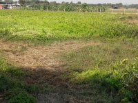 Bán đất đẹp, giá rẻ đường Trung Đông 7, xã Thới Tam Thôn, Hóc Môn Bán đất đẹp, giá rẻ đường Trung Đông 7, xã Thới Tam Thôn, Hóc Môn