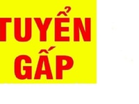 Tuyển nhân viên kinh doanh bất động sản cho thuê tại tân bình Tuyển nhân viên kinh doanh bất động sản cho thuê tại tân bình