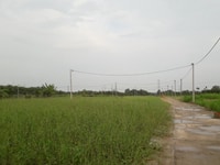 Kẹt lãi ngân hàng, cần bán đất thổ, sổ riêng cạnh QL1A Kẹt lãi ngân hàng, cần bán đất thổ, sổ riêng cạnh QL1A