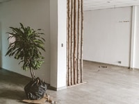 Cho thuê nhà mặt phố tại Đường Võ Văn Tần, Phường 5, Quận 3 Cho thuê nhà mặt phố tại Đường Võ Văn Tần, Phường 5, Quận 3
