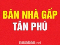 Bán nhà hẻm 12m 94/14 Nguyễn Thế Truyện, Q.Tân Phú, 4x16m Bán nhà hẻm 12m 94/14 Nguyễn Thế Truyện, Q.Tân Phú, 4x16m