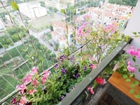 Chính chủ Bán nhà HVB p11, q pn, 4 tầng btct, sân thượng Chính chủ Bán nhà HVB p11, q pn, 4 tầng btct, sân thượng
