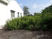 Bán 2 lô đất đối điện trường THPT Trịnh Hoài Đức Bán 2 lô đất đối điện trường THPT Trịnh Hoài Đức