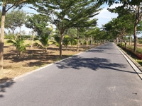 Quảng Ngãi Central Point, kề Ngọc Bảo Viên, 500 triệu/Lô Quảng Ngãi Central Point, kề Ngọc Bảo Viên, 500 triệu/Lô