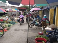 Bán đất trịnh xá Thủy Nguyên Hải Phòng Bán đất trịnh xá Thủy Nguyên Hải Phòng