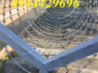 Cung cấp dây thép gai hình dao hàng sẵn kho giá tốt Cung cấp dây thép gai hình dao hàng sẵn kho giá tốt