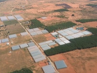 Đất vườn ở TT Lương Sơn, Bình Thuận giá 50 triệu/1000m2 có sổ hồng Đất vườn ở TT Lương Sơn, Bình Thuận giá 50 triệu/1000m2 có sổ hồng