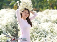 Tìm việc kế toán nội bộ tổng hợp bán hàng kho công nợ Tìm việc kế toán nội bộ tổng hợp bán hàng kho công nợ