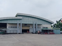Đất khu dân cư Becamex Bàu Bàng, sổ đỏ thổ cư chỉ cần trả 239 triệu Đất khu dân cư Becamex Bàu Bàng, sổ đỏ thổ cư chỉ cần trả 239 triệu