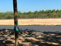 Đất khu công nghiệp đồng phú giá chỉ từ 200 triệu 150m2 thổ cư sổ hồng Đất khu công nghiệp đồng phú giá chỉ từ 200 triệu 150m2 thổ cư sổ hồng