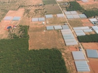 Bán đất vờn ở Bắc Bình, Bình Thuận giá chỉ 50 triệu/1000m2 Bán đất vờn ở Bắc Bình, Bình Thuận giá chỉ 50 triệu/1000m2