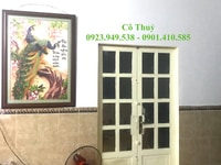 Cho thuê phòng trọ mới xây tại chợ Trần Văn Quang, Phường 10, Tân Bình Cho thuê phòng trọ mới xây tại chợ Trần Văn Quang, Phường 10, Tân Bình