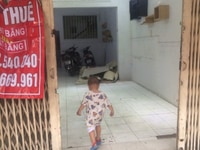 Cho thuê mặt bằng kinh doanh đường Phan Văn Trị Cho thuê mặt bằng kinh doanh đường Phan Văn Trị
