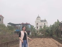 Chính chủ bán đất sổ đỏ thổ cư đẹp 7x18m, Thuận Thành, Bắc Ninh Chính chủ bán đất sổ đỏ thổ cư đẹp 7x18m, Thuận Thành, Bắc Ninh