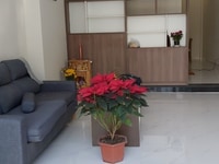 Nhà 3 phòng ngủ, đường Phạm Quang Ảnh - B508 Nhà 3 phòng ngủ, đường Phạm Quang Ảnh - B508