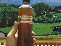 Bán mật ong hoa cà phê, mật ong nguyên chất 100% từ Đăk Lăk Bán mật ong hoa cà phê, mật ong nguyên chất 100% từ Đăk Lăk