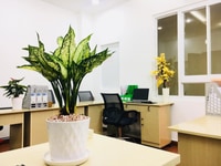 Cho thuê VP Nam Quốc Cang,Q1 giá phù hơp(20m2) Cho thuê VP Nam Quốc Cang,Q1 giá phù hơp(20m2)