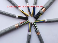 Cáp điều khiển lõi đồng nhuyễn, bọc lưới đồng chống nhiễu Altek Kabel Cáp điều khiển lõi đồng nhuyễn, bọc lưới đồng chống nhiễu Altek Kabel