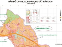Dambri Ecovill - tại sao được đông đảo các nhà dầu tư săn lùng? Dambri Ecovill - tại sao được đông đảo các nhà dầu tư săn lùng?