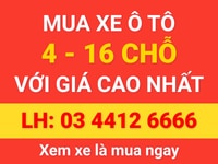 Cần mua các loại xe ôtô 4-16 chỗ với giá cao nhất