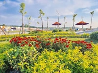 Bán đất khu tái định cư Bàu Bàng đầu tư siêu lợi nhuận, mặt tiền QL13. Bán đất khu tái định cư Bàu Bàng đầu tư siêu lợi nhuận, mặt tiền QL13.