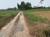 Đất thổ cư, sau xã hoà khánh nam, 15x33m giá tốt Đất thổ cư, sau xã hoà khánh nam, 15x33m giá tốt