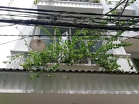 Xuất cảnh bán nhà MT Cách Mạng Tháng 8,Tân Bình, DT(4,5 x 22)m, Xuất cảnh bán nhà MT Cách Mạng Tháng 8,Tân Bình, DT(4,5 x 22)m,