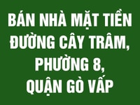 Bán nhà mặt tiền đường Cây Trâm, Phường 8, Quận Gò Vấp