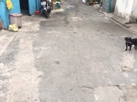 Đất giá rẻ 69m2 khu dân cư hiện hữu, đường số 2, Tam Bình, hẻm 5m Đất giá rẻ 69m2 khu dân cư hiện hữu, đường số 2, Tam Bình, hẻm 5m