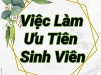 Việc làm ưu tiên sinh viên quận Gò Vấp Việc làm ưu tiên sinh viên quận Gò Vấp