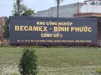 Đất kho xưởng Đồng Nơ – Hớn Quản 400TR/25X40M, XD ngay, SHR Đất kho xưởng Đồng Nơ – Hớn Quản 400TR/25X40M, XD ngay, SHR
