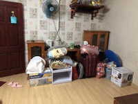 Cho thuê nhà tại Nghĩa Tân, Cầu Giấy, Hà Nội Cho thuê nhà tại Nghĩa Tân, Cầu Giấy, Hà Nội