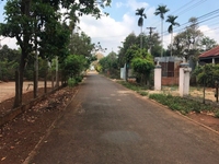 Đất mặt tiền đường 10A đạt lý tp.bmt -DT: 15 X 40m -Pl: 150m thô cu Đất mặt tiền đường 10A đạt lý tp.bmt -DT: 15 X 40m -Pl: 150m thô cu