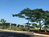 Cơ hội đầu tư, cơ hội an cư view sông hàn mát mẻ,Chỉ 4.4 tỷ Cơ hội đầu tư, cơ hội an cư view sông hàn mát mẻ,Chỉ 4.4 tỷ