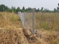 Bán mảnh đất 1,25 sào (1250m2) trên đường nam lộ 101 xã suối nho Bán mảnh đất 1,25 sào (1250m2) trên đường nam lộ 101 xã suối nho