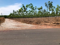 Bán đất vườn Chơn Thành Bình Phước |DT 1033m2 Bán đất vườn Chơn Thành Bình Phước |DT 1033m2