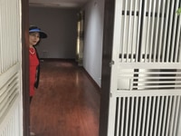 Bán nhà cực đẹp 3 phòng ngủ, 83m2 tập thể X81 Quan Thổ 1, 2,4 tỷ Bán nhà cực đẹp 3 phòng ngủ, 83m2 tập thể X81 Quan Thổ 1, 2,4 tỷ