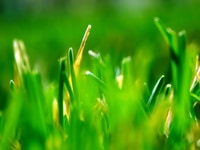 Tuyển 100 công nhân sản xuất lao động phổ thông ở tại Hà Nội bao ăn ở Tuyển 100 công nhân sản xuất lao động phổ thông ở tại Hà Nội bao ăn ở